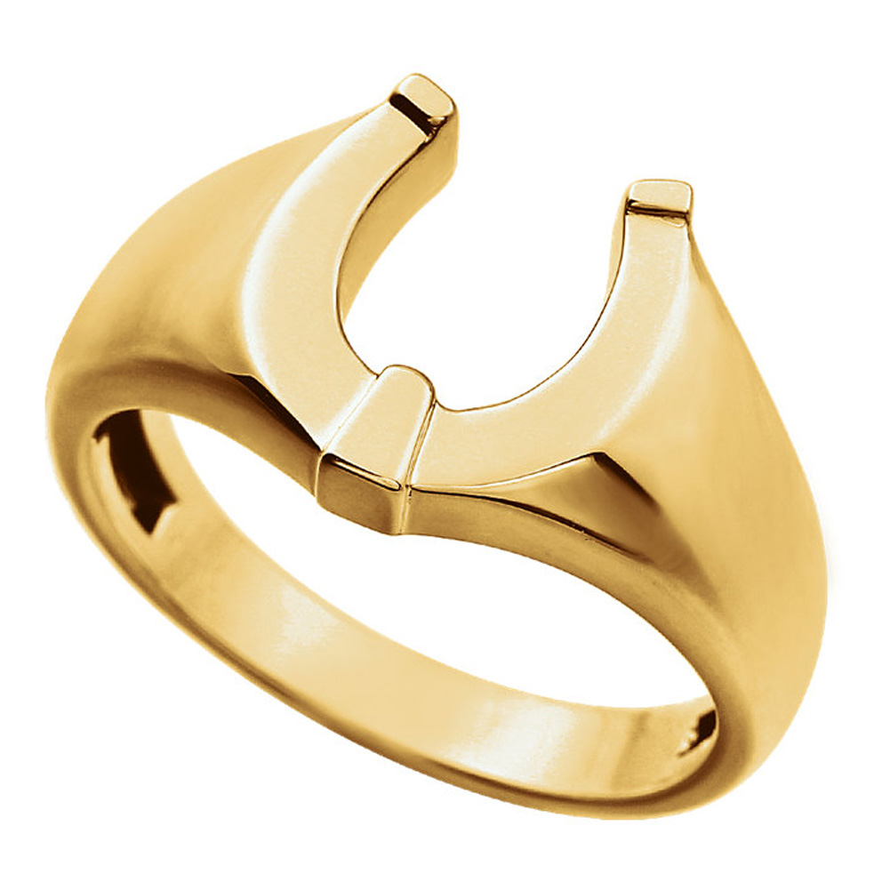 Mens hot sale horseshoe ring